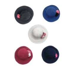 Chapeau Laine Acrylique (x12)