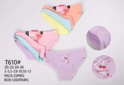 Culotte Fille Motif Cœurs Et Fraises (x24)